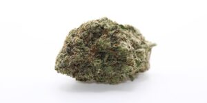 Pink Tuna