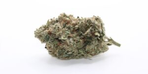 Candyland