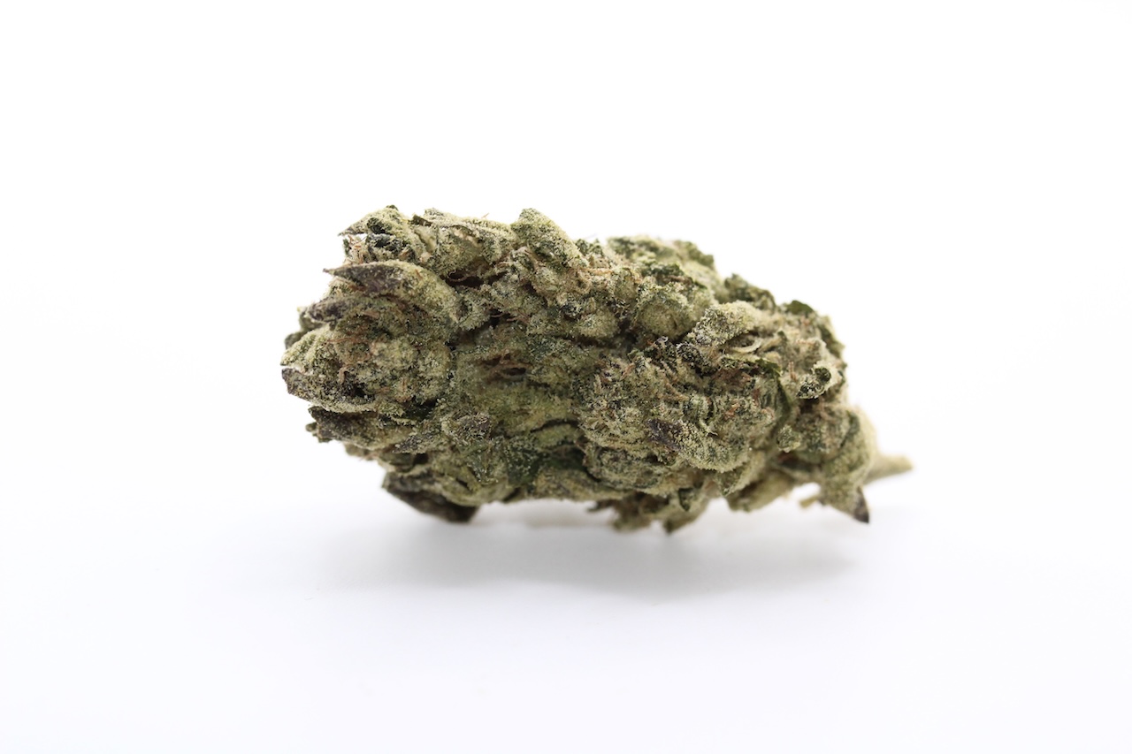 Citrus Skunk