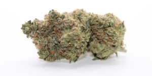 Black Gas