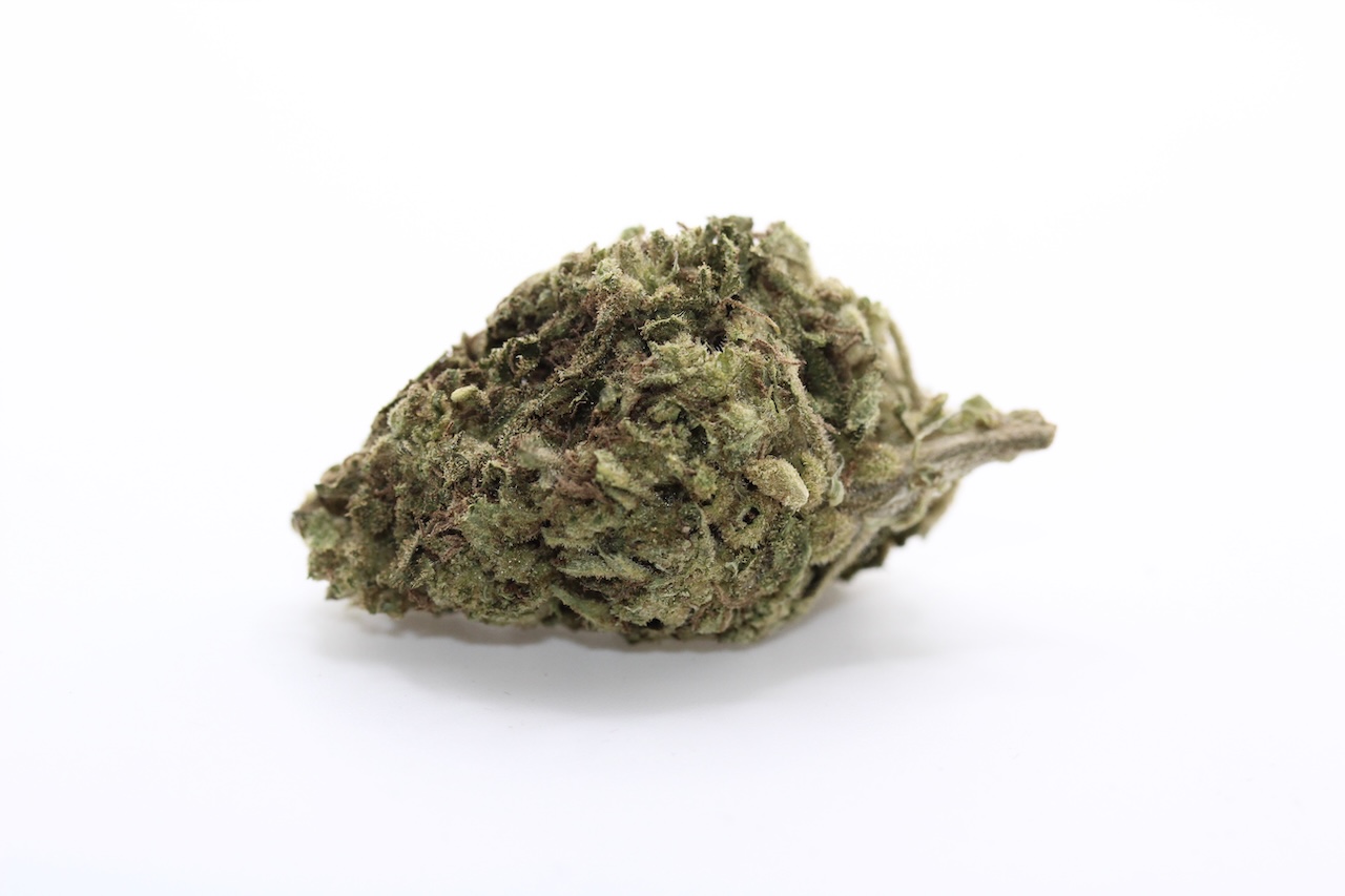 Cactus Breath