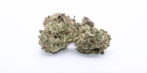 Citrus Haze