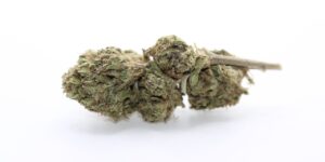 Black Cherry
